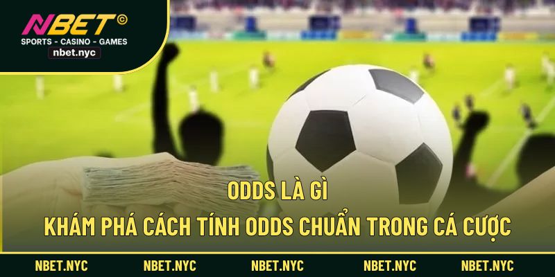 odds là gì